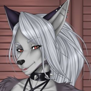 Meet your Posher, Tony